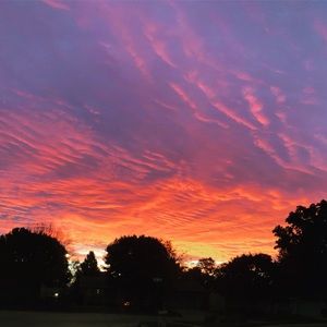 Meet your Posher, Lorin